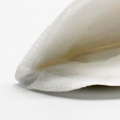Tấm lót điều dưỡng CE SGS ECO thoáng khí tràn Vải không dệt